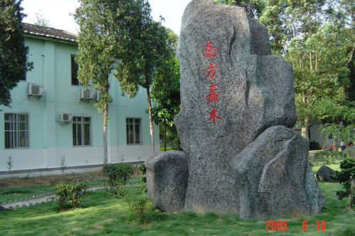 align=left