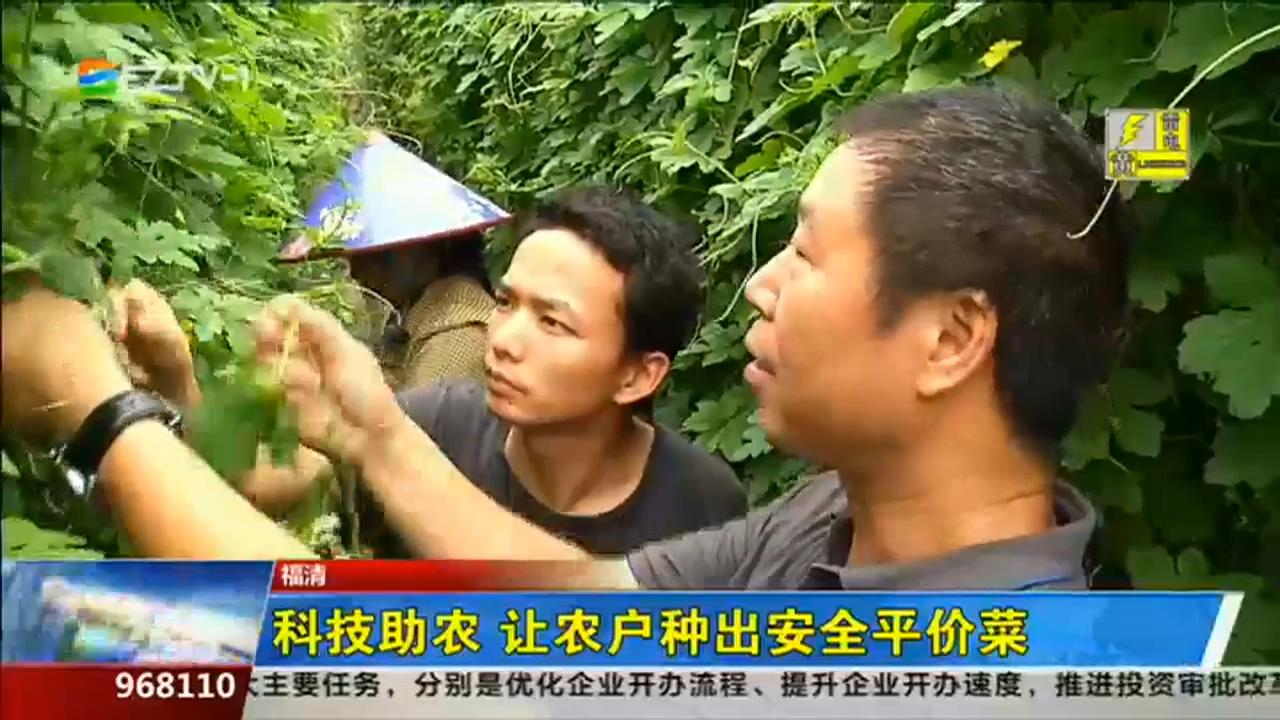 福州新闻综合频道科技助农让农户种出安全平价菜