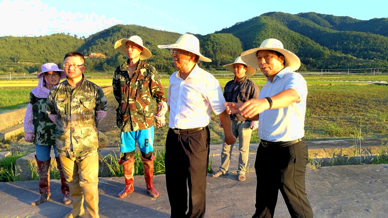 谢华安院士一行赴沙县协调夏茂工作实验用房建设事宜