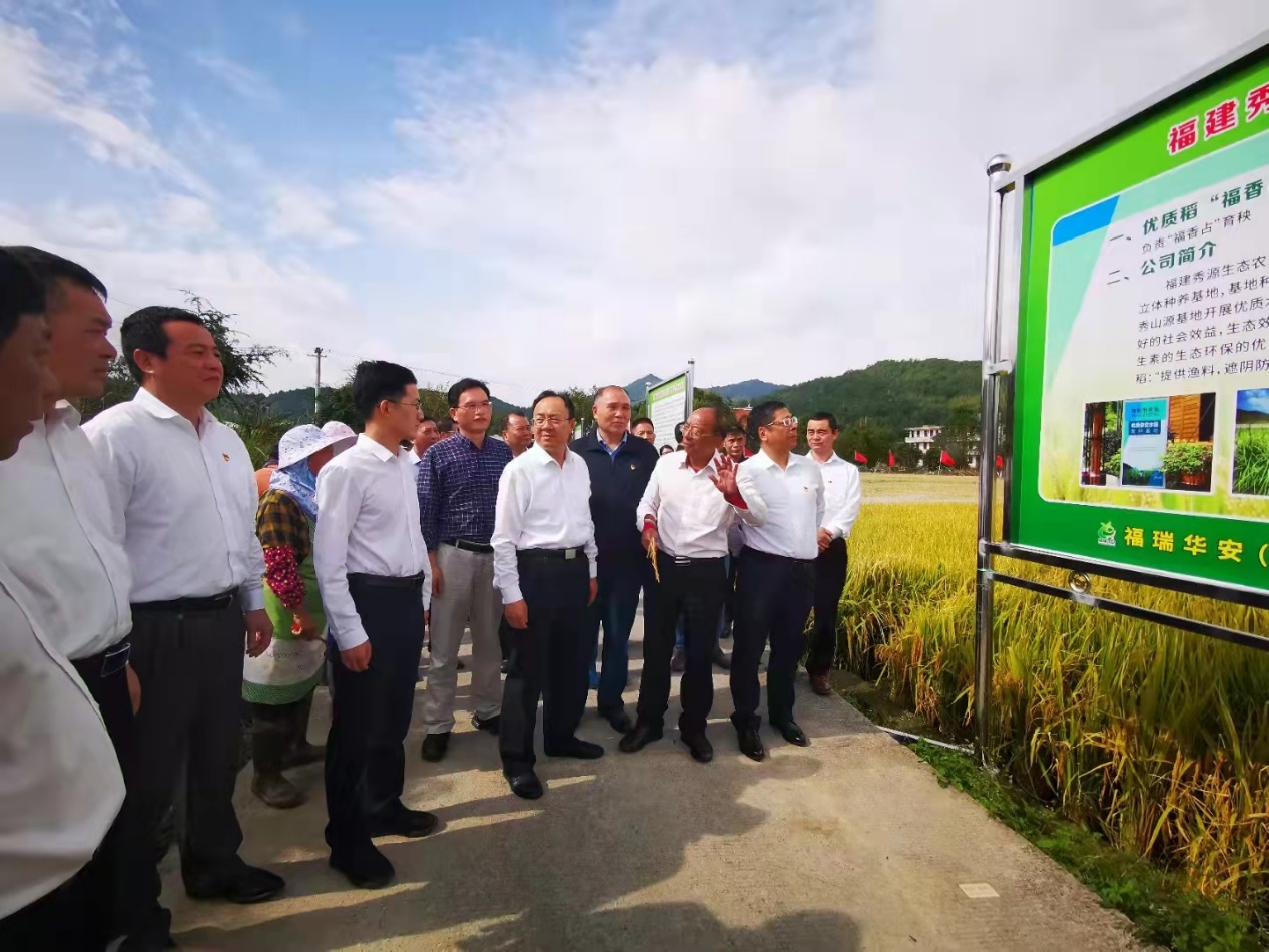 优质稻福香占绿色高效栽培技术集成与示范在上杭县古田镇获得成功