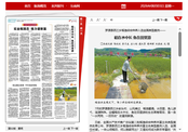 【福建日报】罗源县西兰乡稻渔综合种养入选全国典型案例——