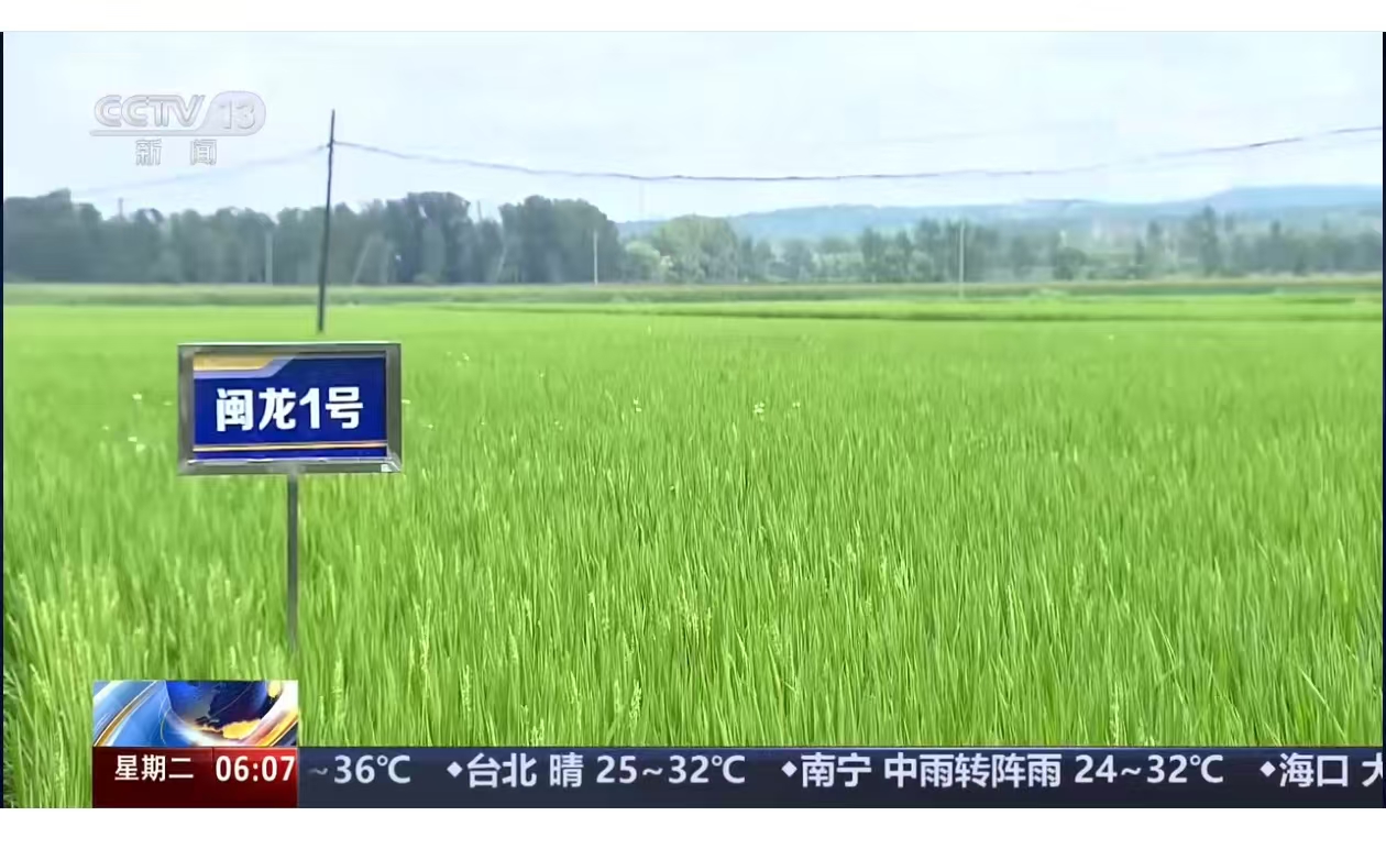 说明: 6dc72541a448e4c14d84bf55a4d3fe52