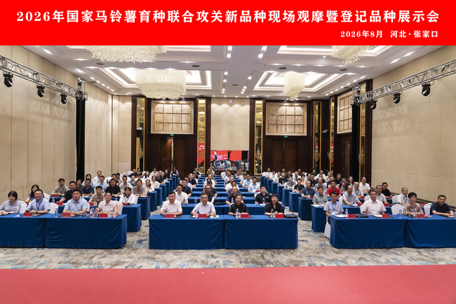院领导参加国家马铃薯育种联合攻关新品种现场观摩会