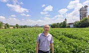 作物所科技人员赴宁夏固原开展东西部项目协作