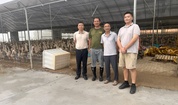 饲草高效循环利用科技团队专家赴诏安固龙农牧开展推广服务