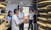 加工所服务助力南平特色食品产业升级