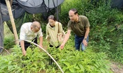 作物所科技人员赴柘荣县开展台风灾后林下中药材复产技术指导
