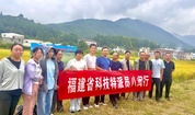 科技特派员送服务下乡 探索稻菌轮作盘活冬闲田