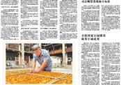 【福建日报】周宁以技术革新推动传统农耕向现代化、标准化、智能化转型—— 深山沃土迸发新活力