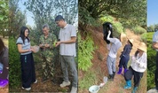植保所科技人员赴南平市开展高枞生态茶园害虫防控工作